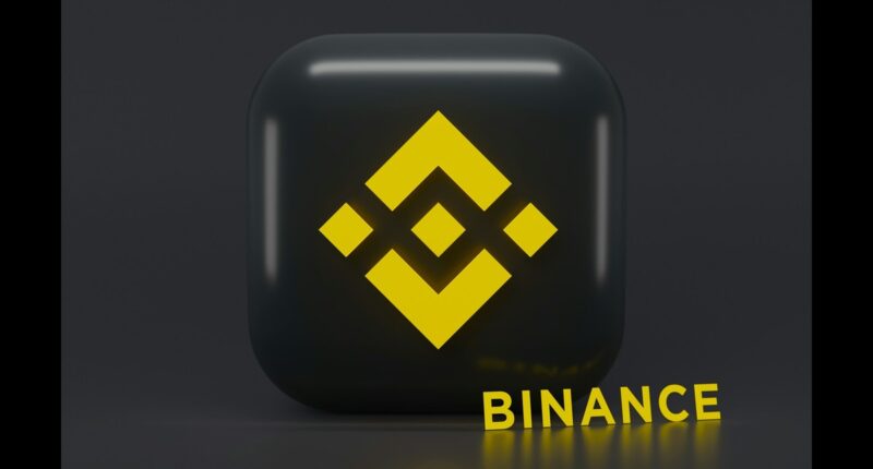 Binance, South Africa, Compliance