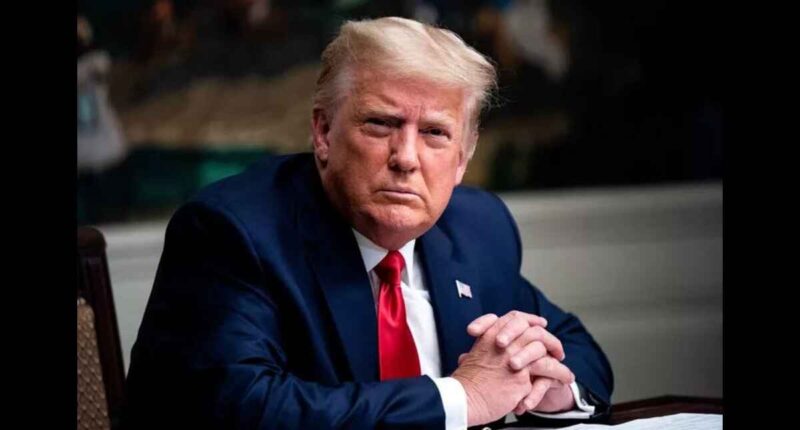 President Trump, ETFs, Made In America