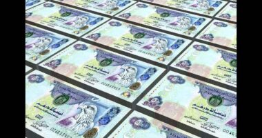 Dirham, Dubai Currency