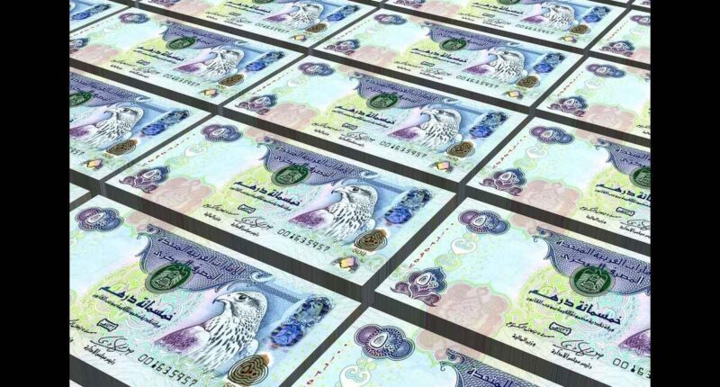 Dirham, Dubai Currency