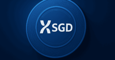 XSDG