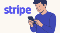Stripe, Payment Platform, Stablecoin