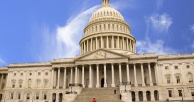 US Parliament