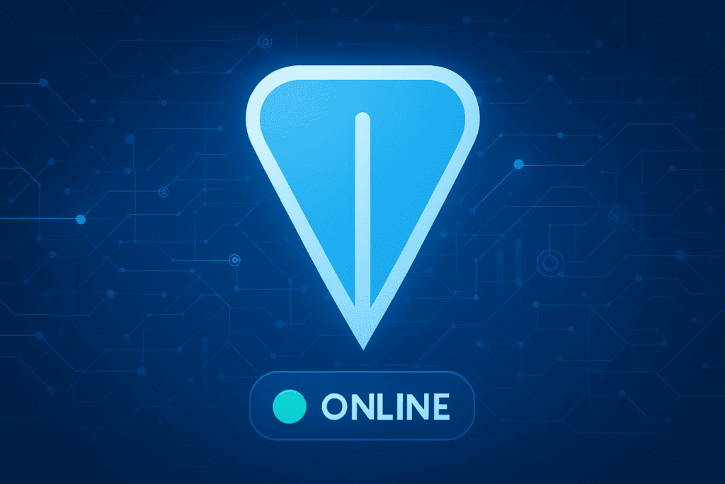TON blockchain network back online