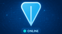 TON blockchain network back online