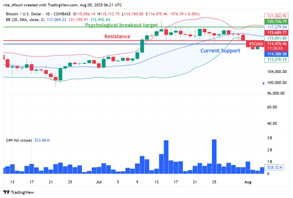 Bitcoin holds steady at $114K amid bullish market sentiment
