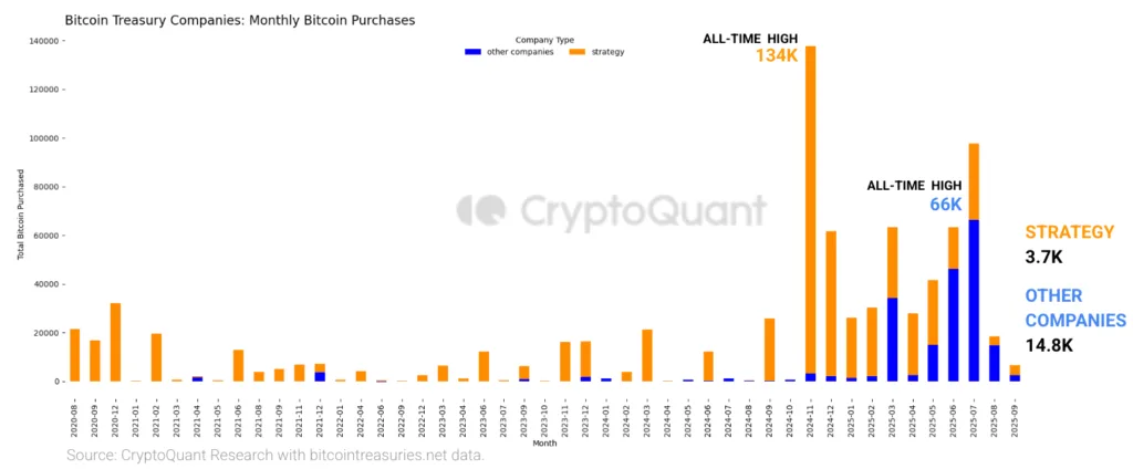 Crypto treasuries face turbulence as premiums narrow, says NYDIG