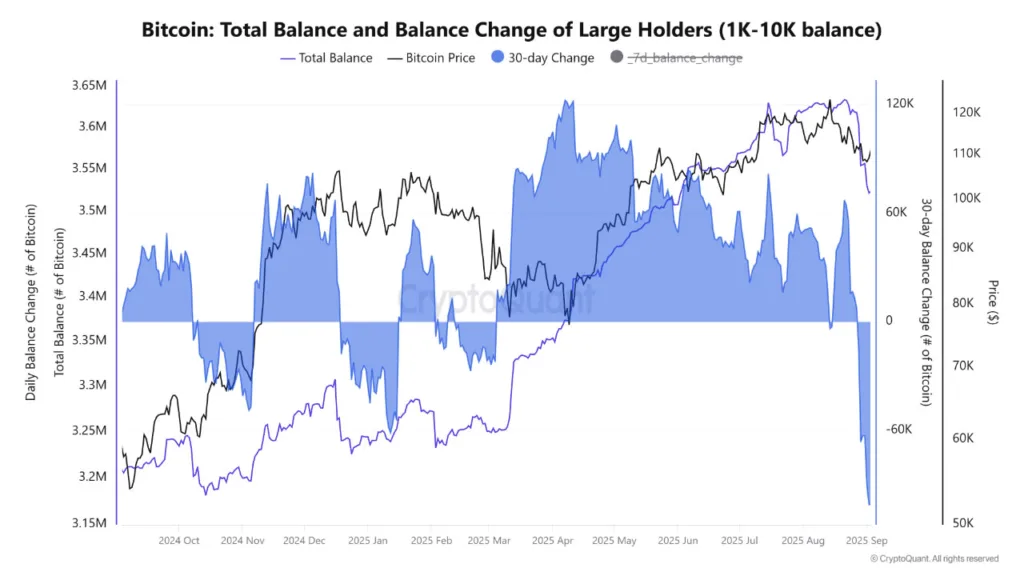 Bitcoin whales trigger largest sell-off since 2022