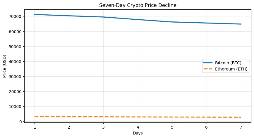 Markets pause: Why the crypto rally ended, the seven-day decline, and what it means