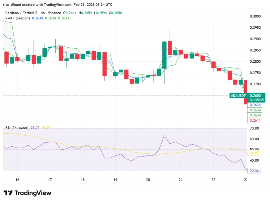Bitcoin, Ethereum, Solana, XRP, Cardano: Top crypto tokens' market analysis Bitcoin, Ethereum, Solana, XRP, Cardano: Top crypto tokens' market analysis