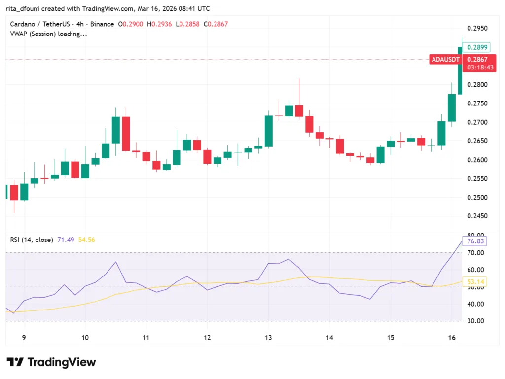 Bitcoin, Ethereum, Solana, XRP, Cardano: Top crypto tokens' market analysis Bitcoin, Ethereum, Solana, XRP, Cardano: Top crypto tokens' market analysis
