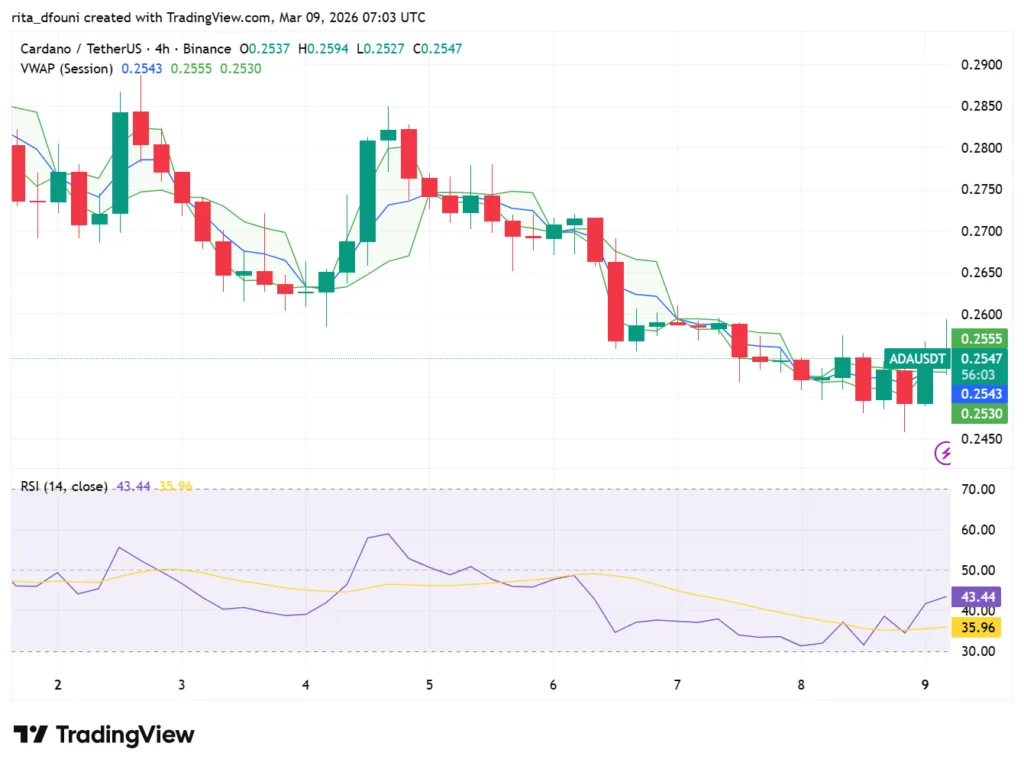Bitcoin, Ethereum, Solana, XRP, Cardano: Top crypto tokens' market analysis Bitcoin, Ethereum, Solana, XRP, Cardano: Top crypto tokens' market analysis